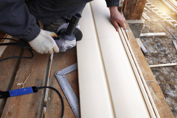 Professional Siding in Lone Tree, IA